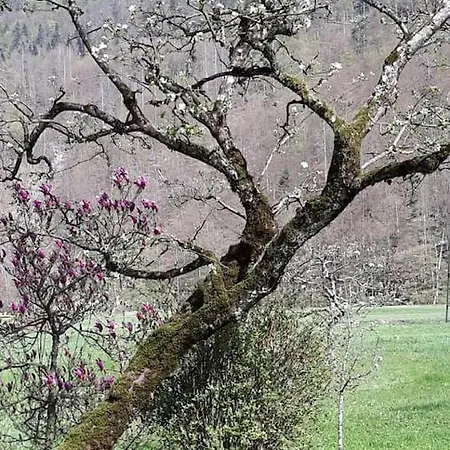 Mountain River *