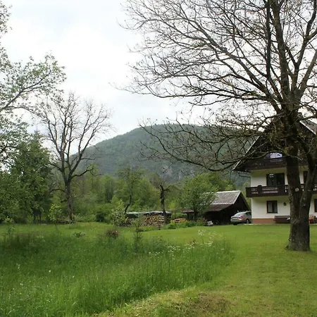 Apartman Mountain River