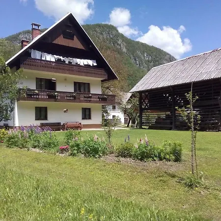 Mountain River Apartman Bohinji-tó