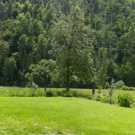 Mountain River Apartman Bohinji-tó