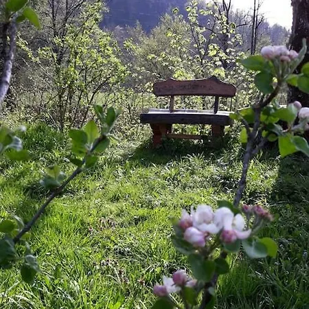 Apartman Mountain River *
